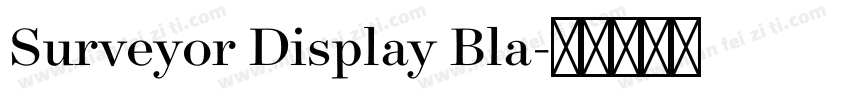 Surveyor Display Bla字体转换